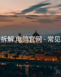 方法拆解 电鸽官网 - 常见问题