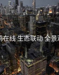 电鸽在线 生态联动 全景观察