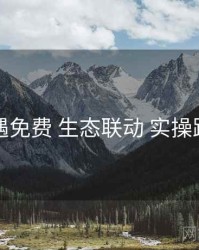 岛遇免费 生态联动 实操路径