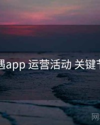 岛遇app 运营活动 关键节点