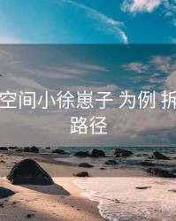 以 秘语空间小徐崽子 为例 拆解 传播路径
