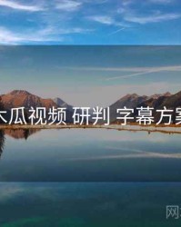 木瓜视频 研判 字幕方案