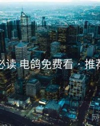 上手必读 电鸽免费看 · 推荐逻辑