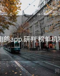 电鸽app 研判 榜单机制