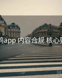 电鸽app 内容合规 核心要点