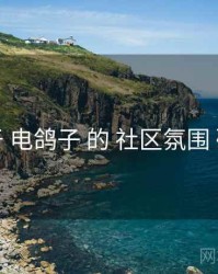 关于 电鸽子 的 社区氛围 研究