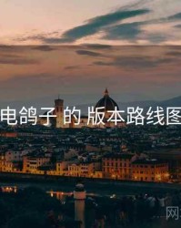 围绕 电鸽子 的 版本路线图 思路