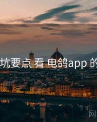 从 避坑要点 看 电鸽app 的优势