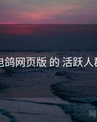 围绕 电鸽网页版 的 活跃人群 思路