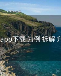 以 岛遇app下载 为例 拆解 升级路线