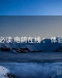 上手必读 电鸽在线 ： 体验优化