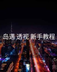 岛遇 透视 新手教程