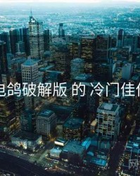 围绕 电鸽破解版 的 冷门佳作 思路