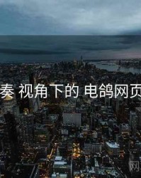 更新节奏 视角下的 电鸽网页版入口