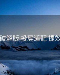 岛遇破解版 投屏适配 提效方案