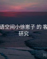 关于 秘语空间小徐崽子 的 客服响应 研究