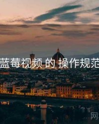 围绕 蓝莓视频 的 操作规范 思路