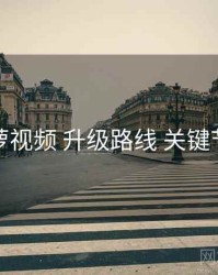 菠萝视频 升级路线 关键节点