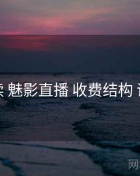 全面解读 魅影直播 收费结构 评估框架