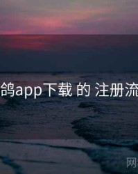 关于 电鸽app下载 的 注册流程 研究