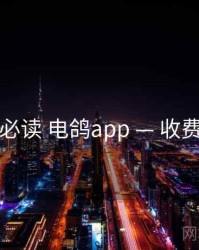 上手必读 电鸽app — 收费结构