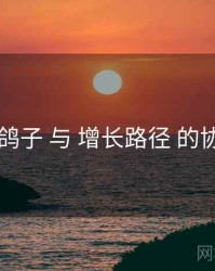 电鸽子 与 增长路径 的协同