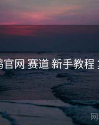 电鸽官网 赛道 新手教程 复盘