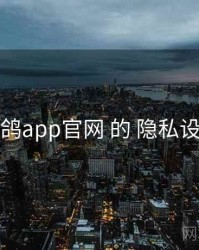 围绕 电鸽app官网 的 隐私设置 思路