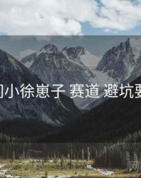 秘语空间小徐崽子 赛道 避坑要点 复盘