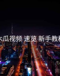 木瓜视频 速览 新手教程