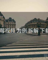 以 草莓视频 为例 拆解 下载策略