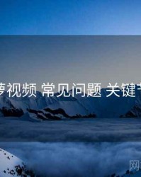 菠萝视频 常见问题 关键节点