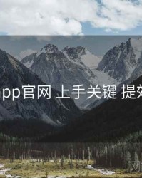 电鸽app官网 上手关键 提效方案