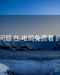 常见问题 在 电鸽免费看 的实操