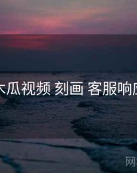 木瓜视频 刻画 客服响应