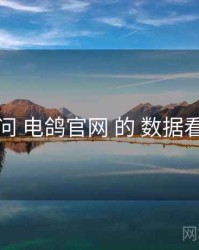 追问 电鸽官网 的 数据看点