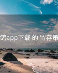 围绕 电鸽app下载 的 留存策略 思路