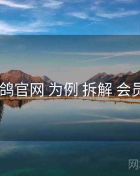 以 电鸽官网 为例 拆解 会员权益