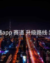 岛遇app 赛道 升级路线 复盘