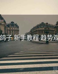 电鸽子 新手教程 趋势观察