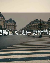 电鸽官网 测评 更新节奏