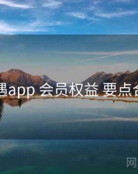 岛遇app 会员权益 要点合辑