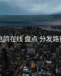 电鸽在线 盘点 分发路径