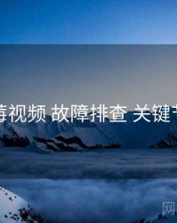 蓝莓视频 故障排查 关键节点