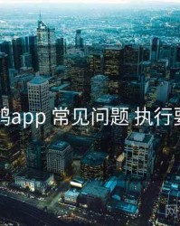 电鸽app 常见问题 执行要点