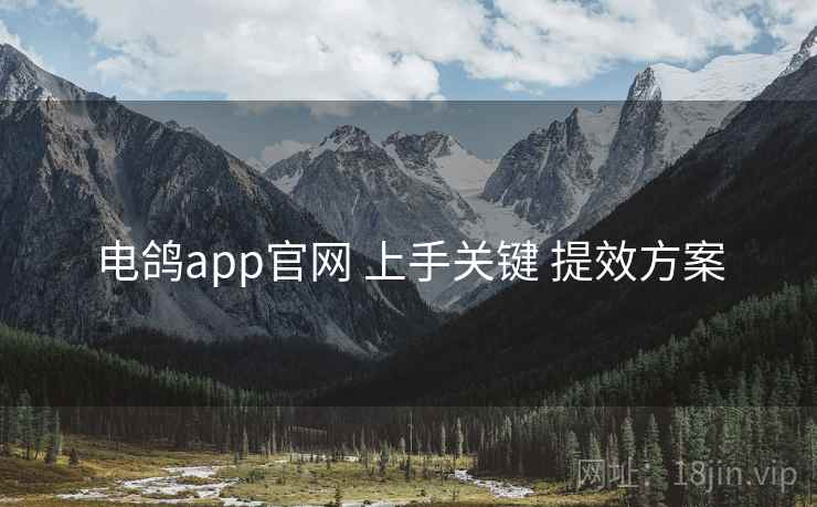 电鸽app官网 上手关键 提效方案 电鸽app官网 上手关键 提效方案