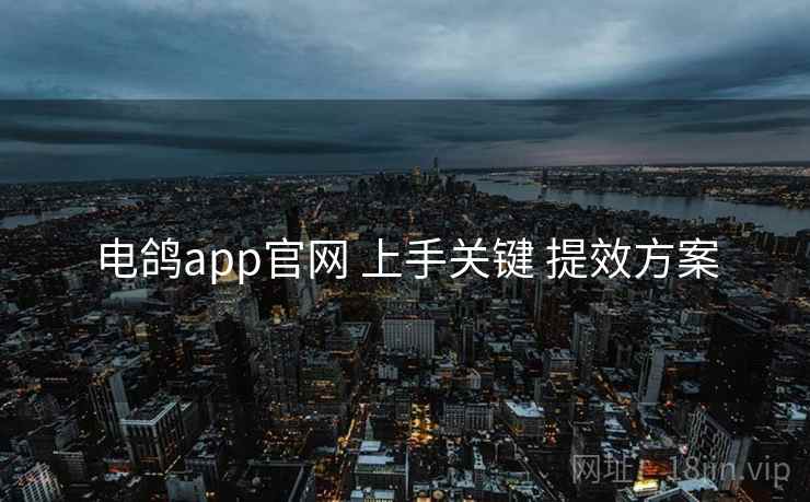 电鸽app官网 上手关键 提效方案 电鸽app官网 上手关键 提效方案