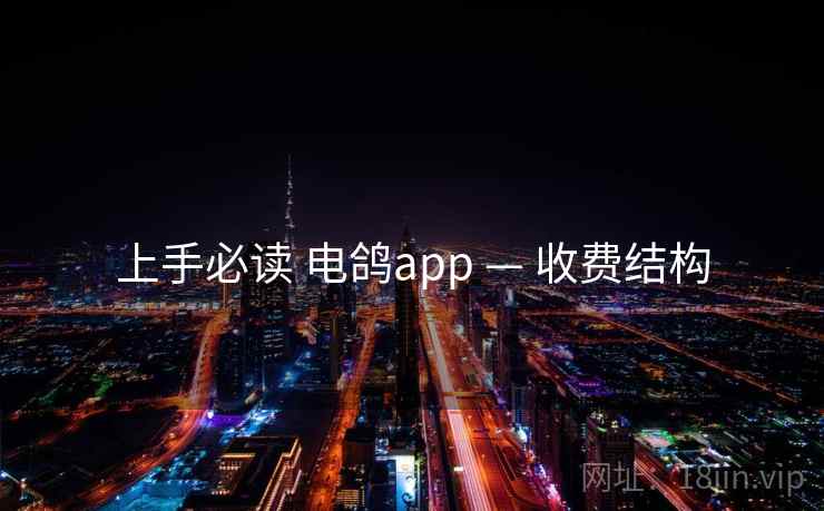 上手必读 电鸽app — 收费结构 上手必读 电鸽app — 收费结构
