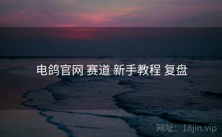 电鸽官网 赛道 新手教程 复盘 电鸽官网 赛道 新手教程 复盘
