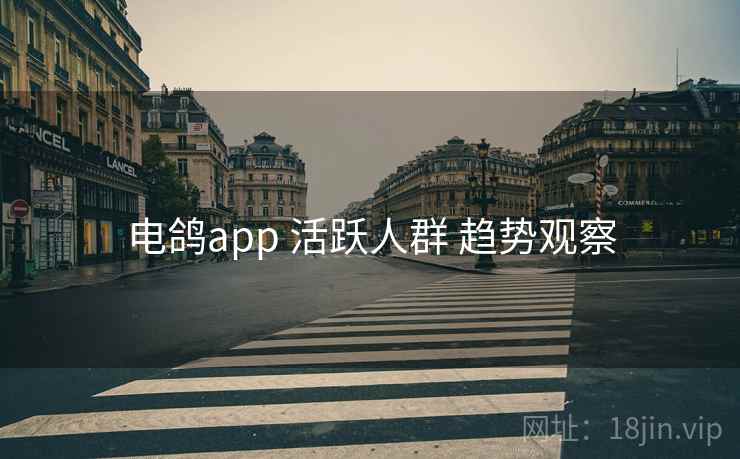 电鸽app 活跃人群 趋势观察 电鸽app 活跃人群 趋势观察